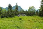 2014-07-05_Laengental-N-Hochweg (657). JPG